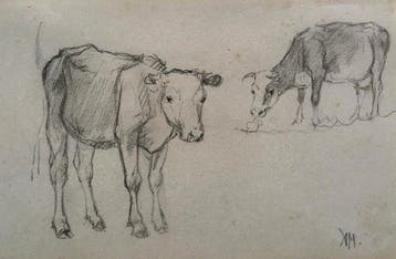 Anton Mauve sr (1838-1888) - Studietekening koeien aan beide