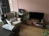 Studio Karrenstraat in Den Bosch, Overige soorten, Noord-Brabant