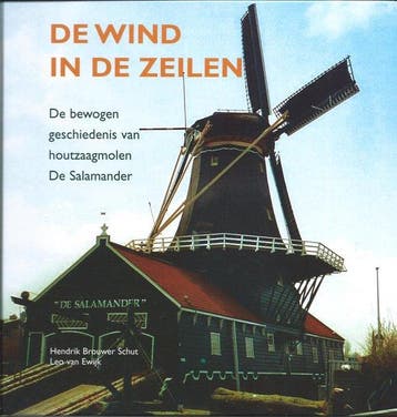 De wind in de zeilen - H. Brouwer Schut 9789081178310, Verzenden, Zo goed als nieuw, H. Brouwer Schut
