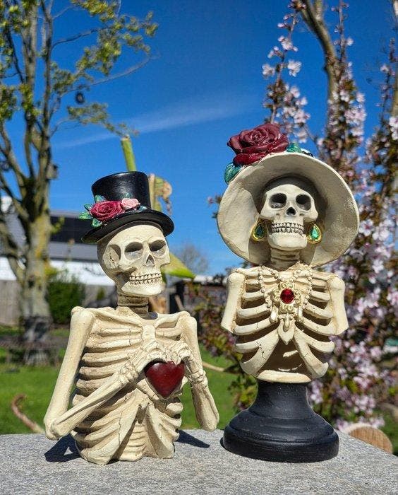 Beeld, Set Skeletons Busts - 25 cm - Hars - 2026, Antiek en Kunst, Curiosa en Brocante