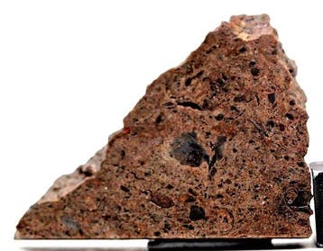 Tisserlitine 001 meteoriet Maan-feldspathische regolithische