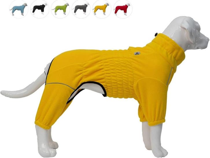 Warme Hondentrui Maat L | Laatste Stuk!, Dieren en Toebehoren, Katten-accessoires, Nieuw, Ophalen of Verzenden