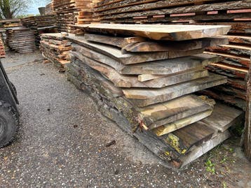 10X Boomstambladen, complete partij 450,- REF 791, Ophalen of Verzenden, Gebruikt