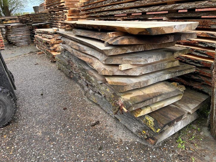 10X Boomstambladen, complete partij 450,- REF 791, Doe-het-zelf en Verbouw, Hout en Planken, Gebruikt, Ophalen of Verzenden