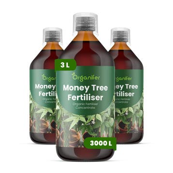 Vloeibare meststof Geldboom - Set 3x1 liter, Verzenden, Mest