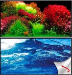 Osaka achterwandposter Ocean/Ruby  zelfklevend (Accessoires), Dieren en Toebehoren, Vissen | Aquaria en Toebehoren, Verzenden