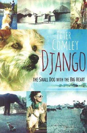 Django - Peter Comley 9781868425983, Verzenden, Gelezen, Peter Comley