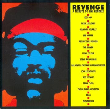 cd - Various - Revenge - A Tribute To Jimi Hendrix, Verzenden, Zo goed als nieuw