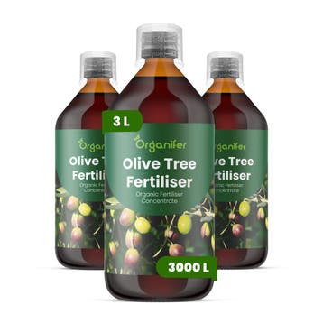 Olijfboom Vloeibare Meststof - Set 3x1 liter, Verzenden, Mest