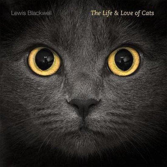 The Life and Love of Cats 9781419704048 Lewis Blackwell, Boeken, Taal | Engels, Gelezen, Verzenden