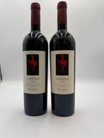 2021 Argiolas Turriga - Isola dei Nuraghi, Sardinië IGT - 2, Nieuw