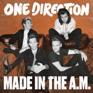 lp nieuw - One Direction - Made in the A.M., Verzenden, Zo goed als nieuw, Overige formaten