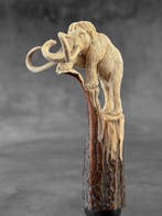 Snijwerk, NO RESERVE PRICE - Stunning Mammoth Carving from a