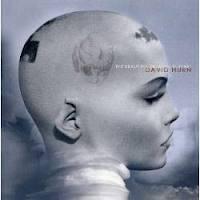 cd - David Hurn - Beautiful Trustful Future, Verzenden, Zo goed als nieuw