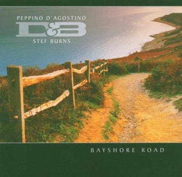 cd - Peppino DAgostino - Bayshore Road, Verzenden, Zo goed als nieuw