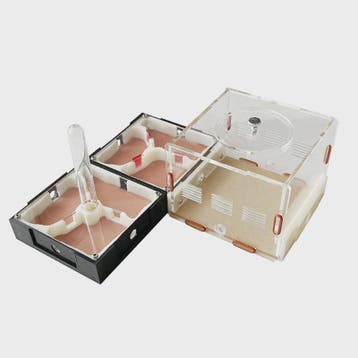 Acryl Mierenboerderij met Uitbreidingsmogelijkheden, Voeding, Dieren en Toebehoren