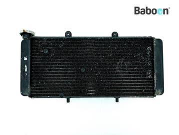 Radiateur Aprilia ETV 1000 Caponord 2001-2003 (ETV1000), Verzenden, Gebruikt