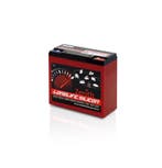 Zenith AGM Deep Cycle accu | ZLS120120 | 12V 28Ah, Ophalen of Verzenden, Nieuw