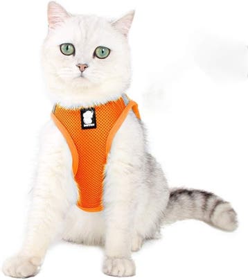 Kittentuigje Reflecterend | Air Mesh | Laatste Stuk!, Ophalen of Verzenden, Nieuw