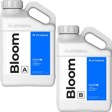 Athena Bloom A+B 3.78 L, Ophalen of Verzenden, Nieuw