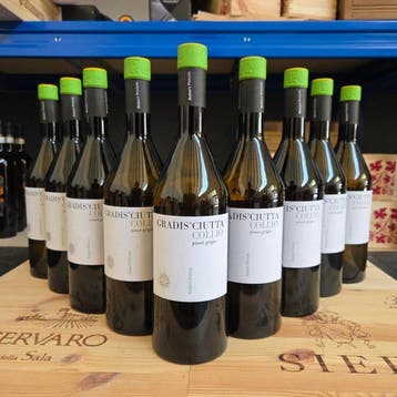 2025 Gradisciutta, Pinot Grigio - Friuli-Venezia Giulia DOC, Nieuw