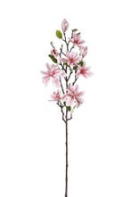 Magnolia tak Licht Roze Zijdenbloem 80 cm per stuk, Ophalen of Verzenden, Nieuw