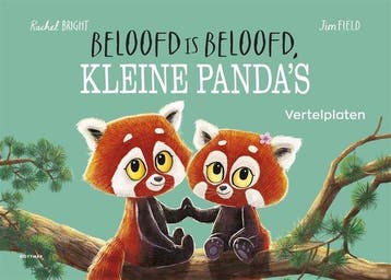 9789025782917 Vertelplaten Beloofd is beloofd, kleine pan..., Boeken, Verzenden, Nieuw, Rachel Bright