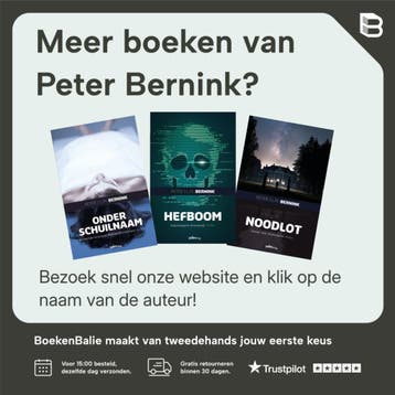 Het festival - Peter Bernink 9789493059948, Verzenden, Gelezen, Peter Bernink