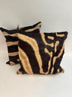 Zebra Balg - Equus quagga - 40 cm - 40 cm - 1 cm -