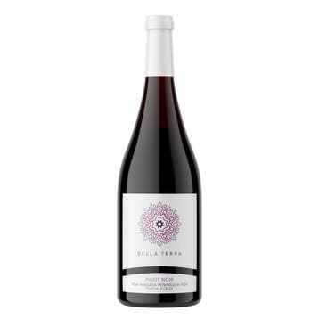 Canadese wijn - Bella Terra Pinot Noir 2020, 750ml, Overige gebieden, Nieuw, Ophalen of Verzenden, Rode wijn