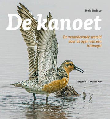 9789464710823 De kanoet Rob Buiter, Verzenden, Nieuw, Rob Buiter