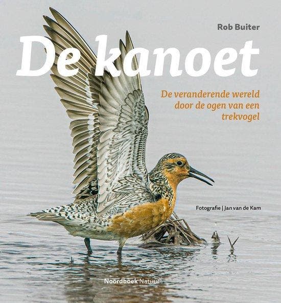 9789464710823 De kanoet Rob Buiter, Boeken, Studieboeken en Cursussen, Nieuw, Verzenden