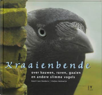 Kraaienbende - G.J. Roebers 9789050112291, Verzenden, Zo goed als nieuw, G.J. Roebers
