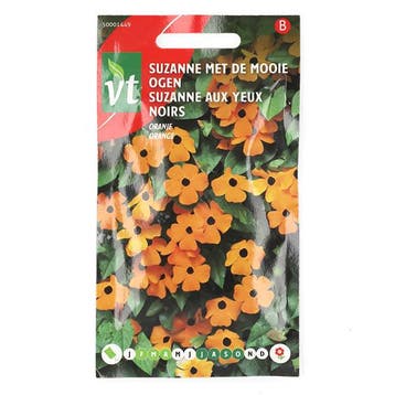 Bloemzaden Suzanne met de Mooie Ogen | VT (Oranje), Verzenden
