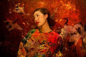 Viet Ha Tran - The Soul of Vietnam VI
