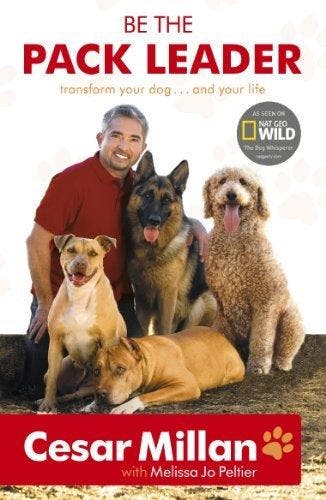 Be The Pack Leader - Cesar Millan 9780340976456, Verzenden, Gelezen, Cesar Millan