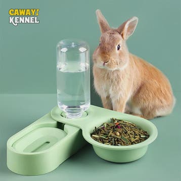 Automatische Voer- en Drinkbak voor Konijn, Chinchilla & Cav, Verzenden, Nieuw