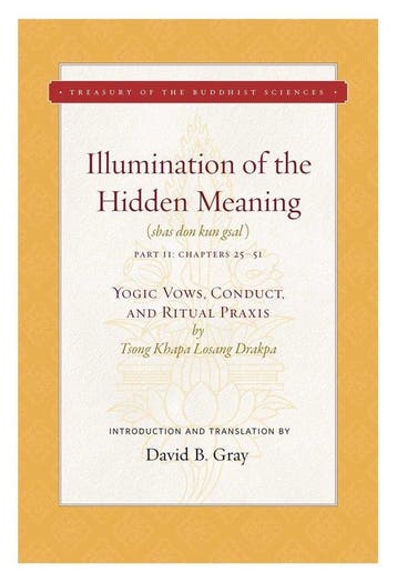 Illumination of the Hidden Meaning Volume 2 9781949163049, Boeken, Verzenden, Zo goed als nieuw, David B. Gray