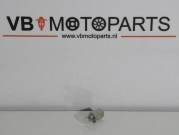 Lamp 6V 1.2W BA7S, Ophalen of Verzenden, Nieuw