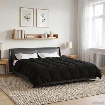 vidaXL Winter Dekbed 220 x 240 cm Winter Microfiber (100%, Verzenden, Nieuw, Zwart
