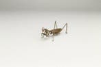 Brons - Praying Mantis Okimono - Shwa periode (1926-1989), Antiek en Kunst