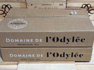 2024 Domaine de l’Odylée cuvée la prometteuse -, Nieuw