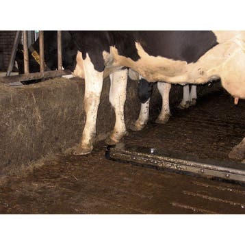 roosterschuif 2x rubber 251-300 cm Spinder, Dieren en Toebehoren