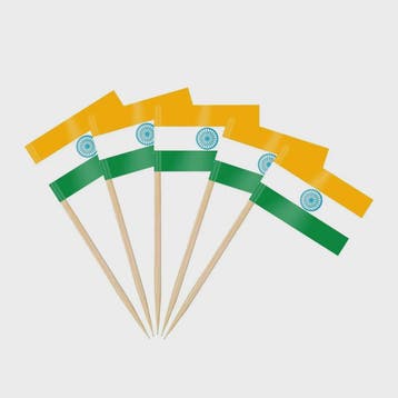 100x Mini India Vlaggetjes op Houten Prikkers - Ideaal voor, Verzenden, Nieuw