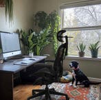 Herman Miller Aeron Bureaustoel Met Nieuwe Atlas Hoofdsteun!, Huis en Inrichting, Bureaustoelen, Verzenden, Ergonomisch, Nieuw