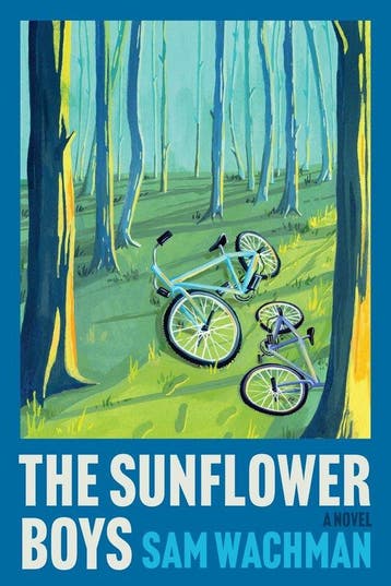 The Sunflower Boys - Sam Wachman 9780063418226, Verzenden, Gelezen, Sam Wachman