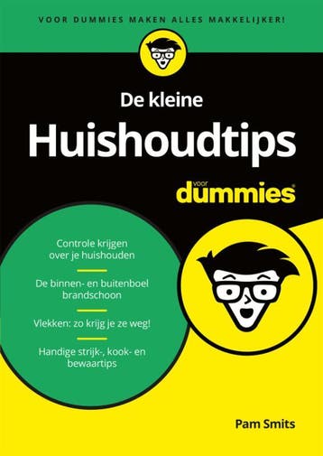 De kleine huishoudtips voor Dummies / Voor Dummies - Pam, Verzenden, Zo goed als nieuw, Pam Smits