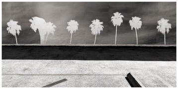 Roberto Cavalli (Italia, 1971) - Somewhere, in Los Angeles