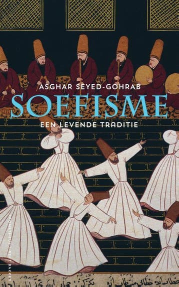 Soefisme - Asghar Seyed-Gohrab 9789035142749, Boeken, Verzenden, Gelezen, Asghar Seyed-Gohrab
