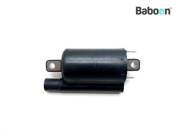 Bobine Aprilia SL 1000 Falco 1999-2003 (SL1000), Motoren, Verzenden, Gebruikt